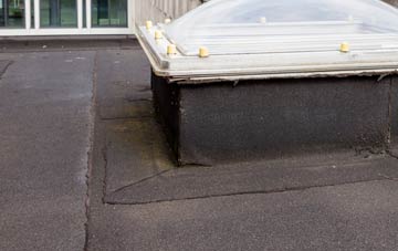 disadvantages of Thurso East flat roofs