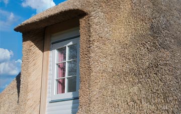 Thurso East thatch roof disadvantages